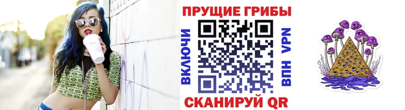 Псилоцибиновые грибы ЛСД  Елизово 